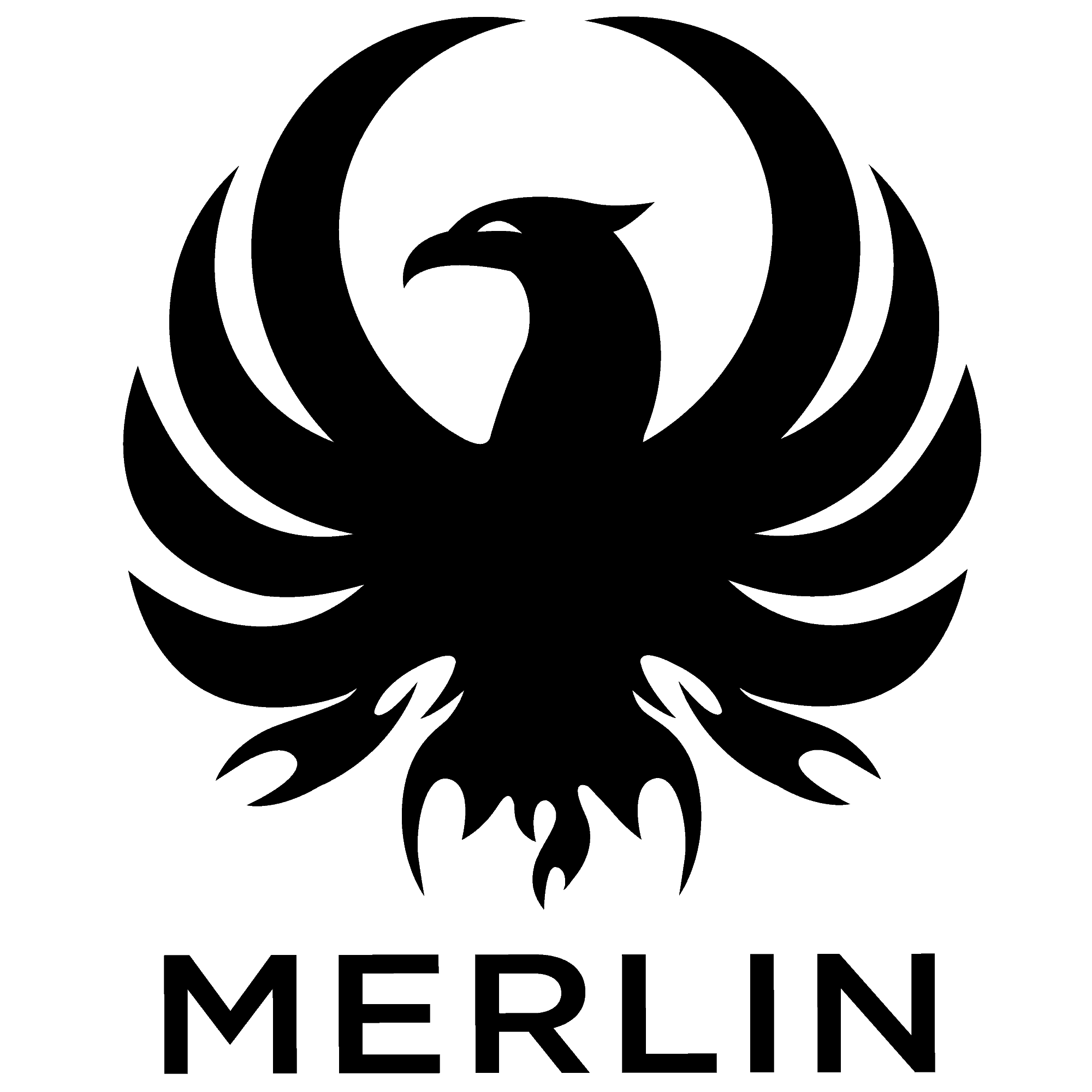 Image placeholder description
