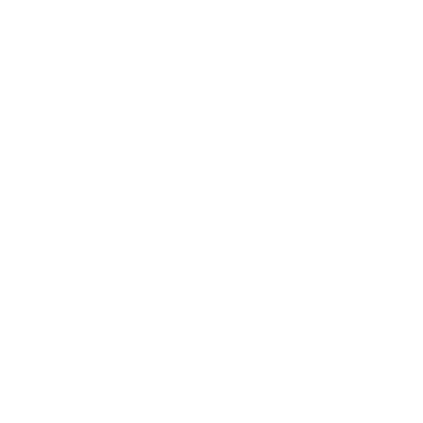 SuperBike Factory 120-Point Quality Check